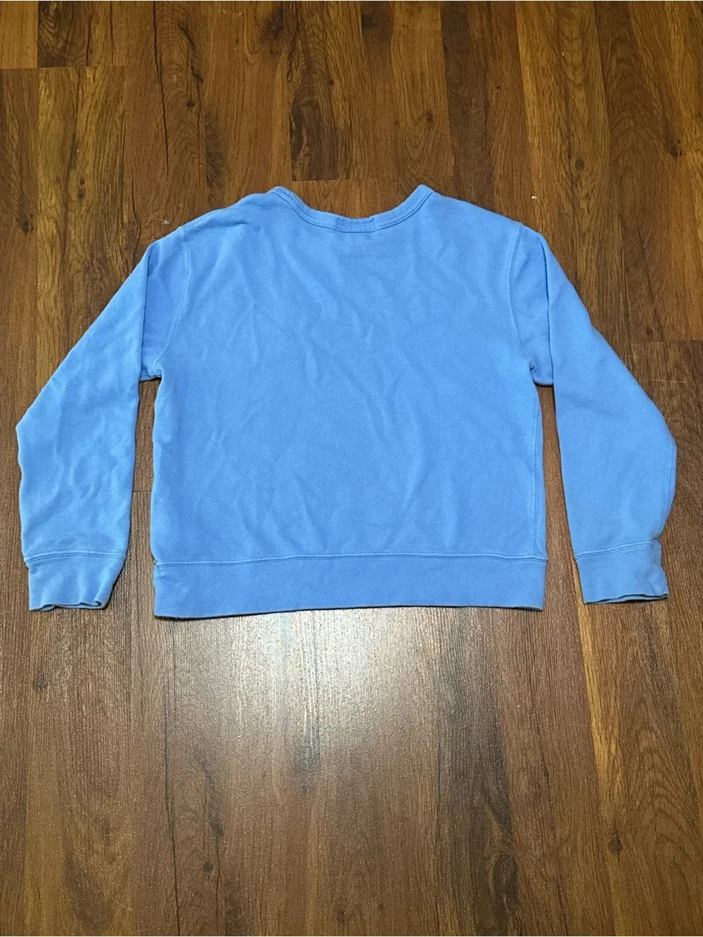 Polo by Ralph Lauren Light Blue Crewneck Sweatshirt with Vertical Logo